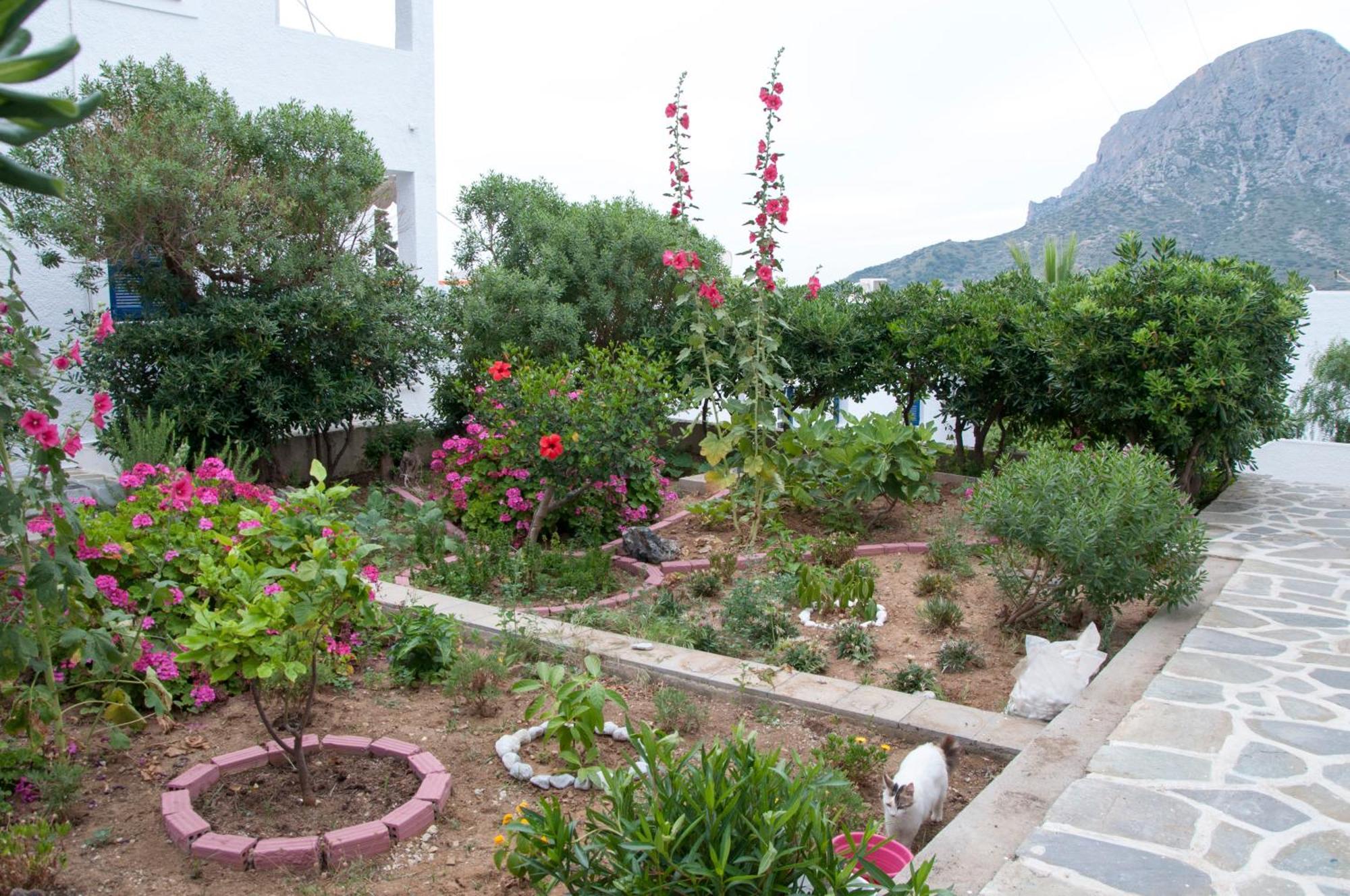 Tatsis Apartments Masouri Ngoại thất bức ảnh